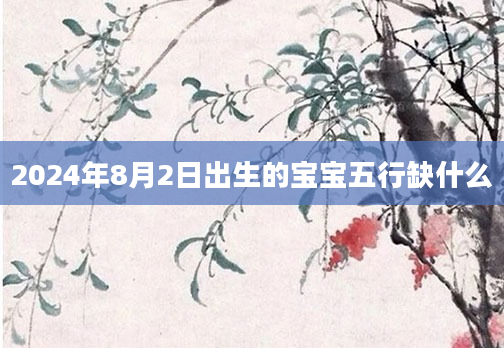 2024年8月2日出生的宝宝五行缺什么