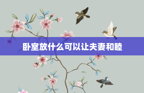 卧室放什么可以让夫妻和睦