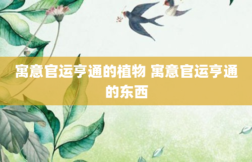 寓意官运亨通的植物 寓意官运亨通的东西