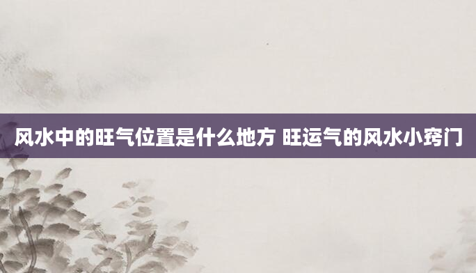 风水中的旺气位置是什么地方 旺运气的风水小窍门