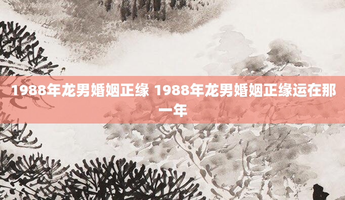 1988年龙男婚姻正缘 1988年龙男婚姻正缘运在那一年