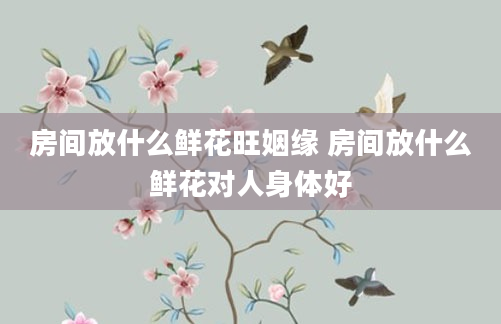 房间放什么鲜花旺姻缘 房间放什么鲜花对人身体好