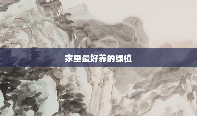 家里最好养的绿植