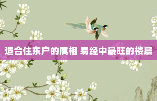 适合住东户的属相 易经中最旺的楼层