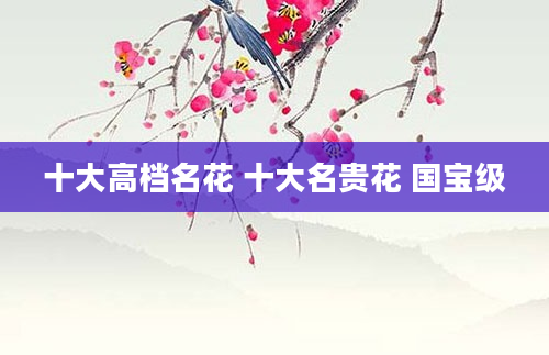 十大高档名花 十大名贵花 国宝级