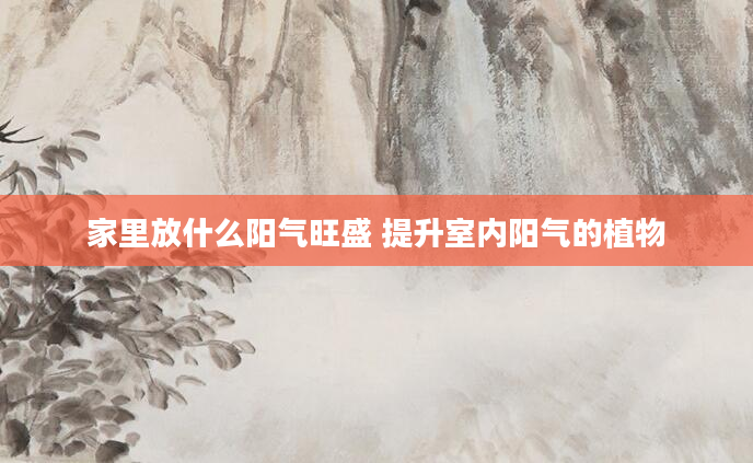 家里放什么阳气旺盛 提升室内阳气的植物