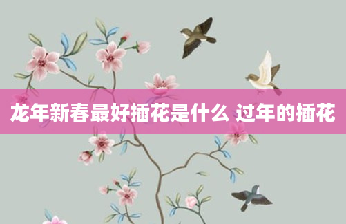 龙年新春最好插花是什么 过年的插花