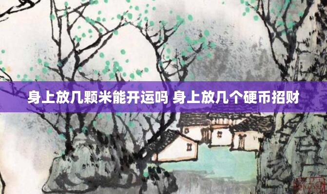 身上放几颗米能开运吗 身上放几个硬币招财