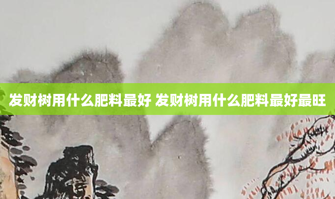 发财树用什么肥料最好 发财树用什么肥料最好最旺