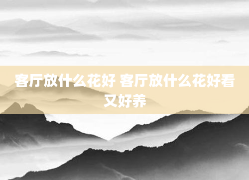 客厅放什么花好 客厅放什么花好看又好养