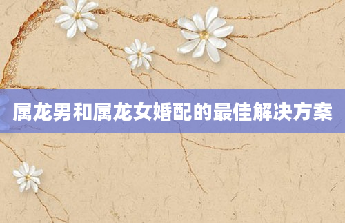属龙男和属龙女婚配的最佳解决方案