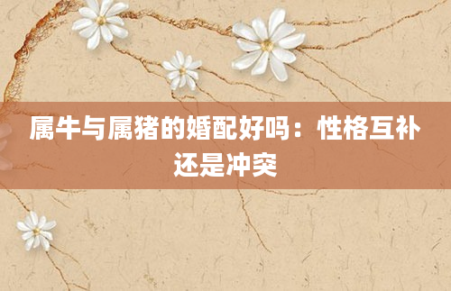 属牛与属猪的婚配好吗：性格互补还是冲突