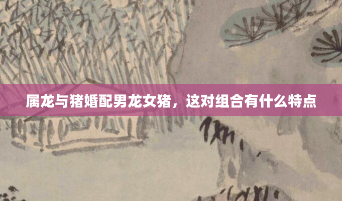 属龙与猪婚配男龙女猪，这对组合有什么特点