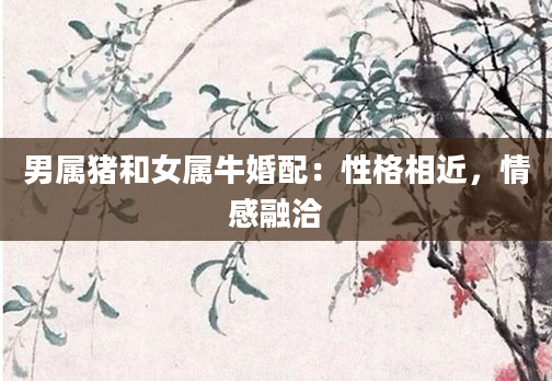 男属猪和女属牛婚配：性格相近，情感融洽