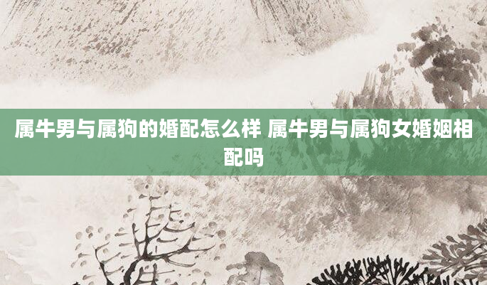 属牛男与属狗的婚配怎么样 属牛男与属狗女婚姻相配吗