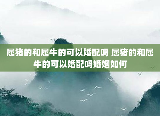 属猪的和属牛的可以婚配吗 属猪的和属牛的可以婚配吗婚姻如何