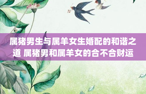 属猪男生与属羊女生婚配的和谐之道 属猪男和属羊女的合不合财运