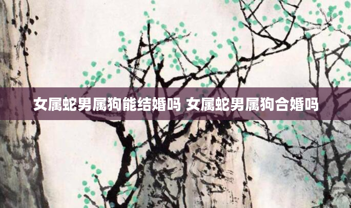 女属蛇男属狗能结婚吗 女属蛇男属狗合婚吗