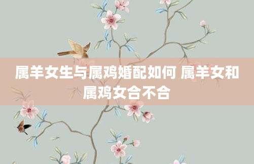 属羊女生与属鸡婚配如何 属羊女和属鸡女合不合