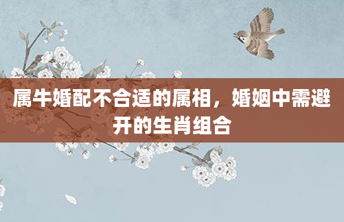 属牛婚配不合适的属相，婚姻中需避开的生肖组合