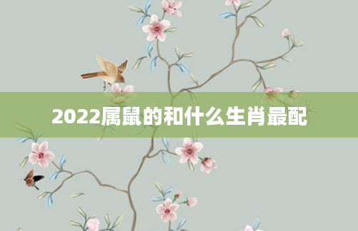 2022属鼠的和什么生肖最配