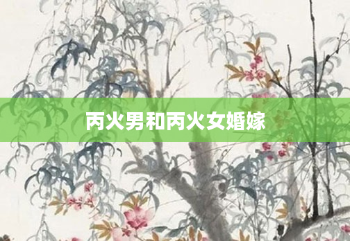 丙火男和丙火女婚嫁