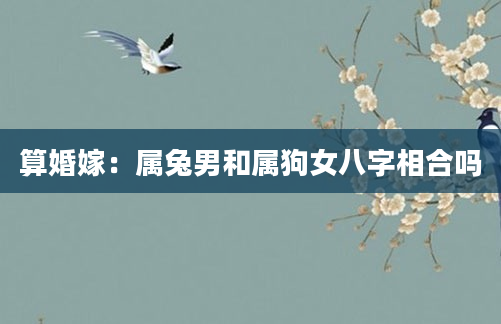 算婚嫁：属兔男和属狗女八字相合吗