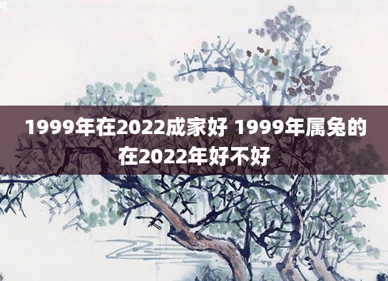 1999年在2022成家好 1999年属兔的在2022年好不好