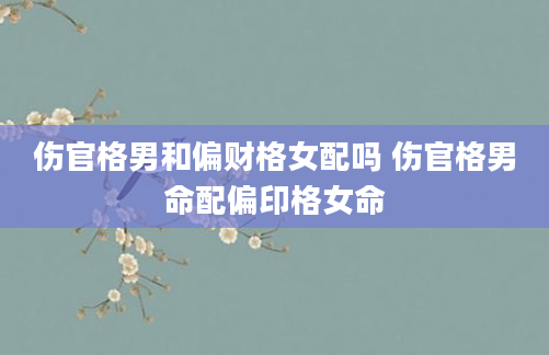 伤官格男和偏财格女配吗 伤官格男命配偏印格女命