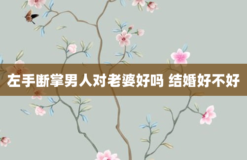 左手断掌男人对老婆好吗 结婚好不好