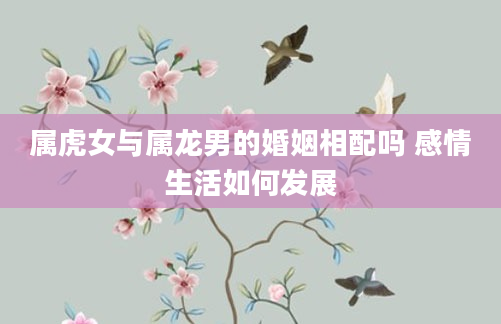 属虎女与属龙男的婚姻相配吗 感情生活如何发展