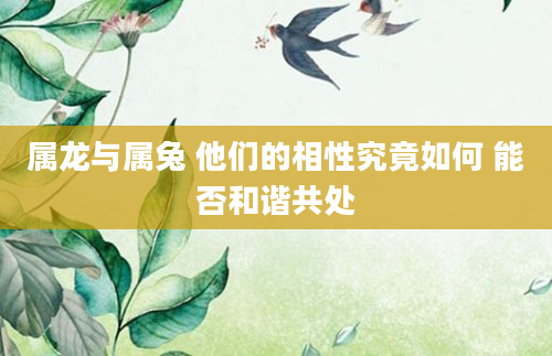属龙与属兔 他们的相性究竟如何 能否和谐共处