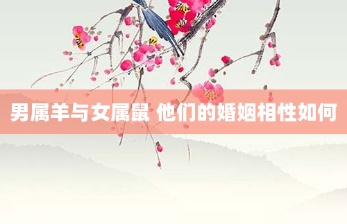 男属羊与女属鼠 他们的婚姻相性如何