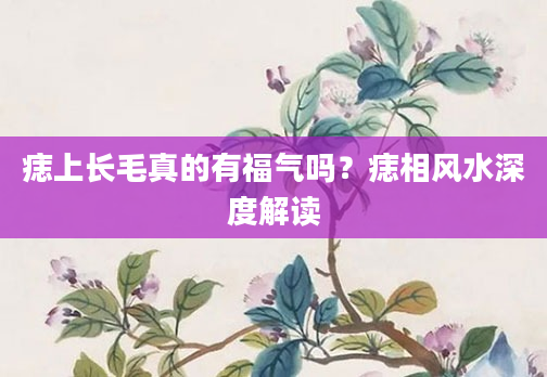 痣上长毛真的有福气吗？痣相风水深度解读