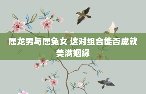 属龙男与属兔女 这对组合能否成就美满姻缘