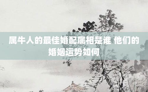 属牛人的最佳婚配属相是谁 他们的婚姻运势如何