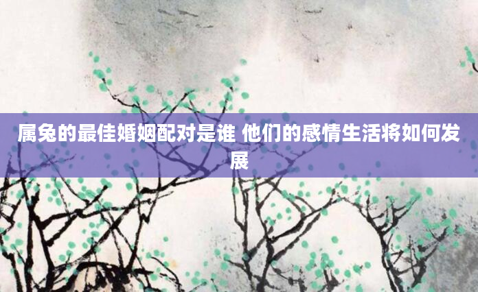 属兔的最佳婚姻配对是谁 他们的感情生活将如何发展