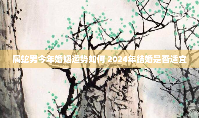 属蛇男今年婚姻运势如何 2024年结婚是否适宜