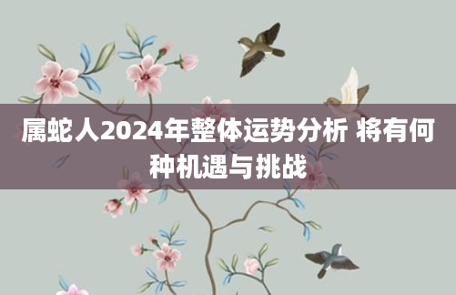 属蛇人2024年整体运势分析 将有何种机遇与挑战