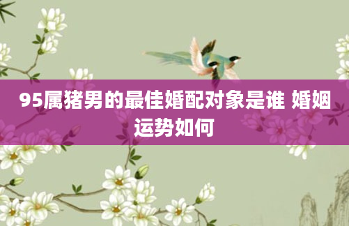 95属猪男的最佳婚配对象是谁 婚姻运势如何