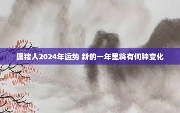 属猪人2024年运势 新的一年里将有何种变化