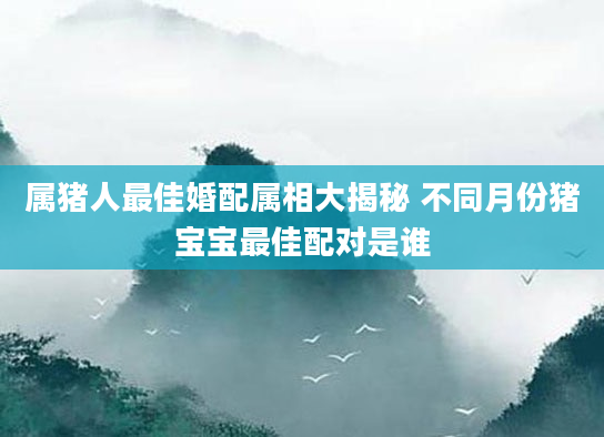 属猪人最佳婚配属相大揭秘 不同月份猪宝宝最佳配对是谁