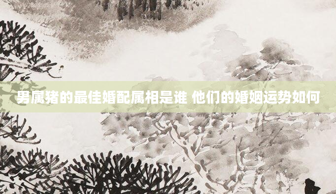 男属猪的最佳婚配属相是谁 他们的婚姻运势如何