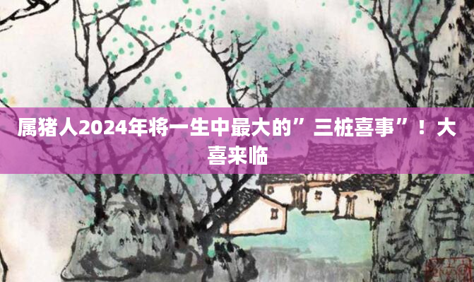 属猪人2024年将一生中最大的”三桩喜事”！大喜来临