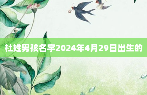杜姓男孩名字2024年4月29日出生的