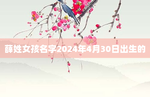 薛姓女孩名字2024年4月30日出生的