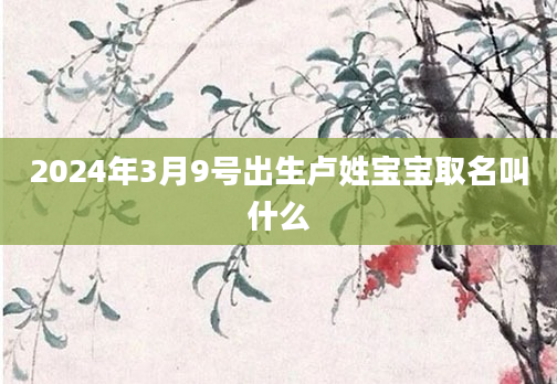 2024年3月9号出生卢姓宝宝取名叫什么