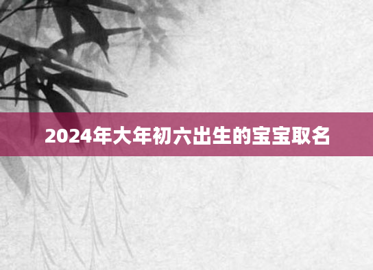2024年大年初六出生的宝宝取名