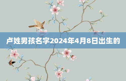 卢姓男孩名字2024年4月8日出生的