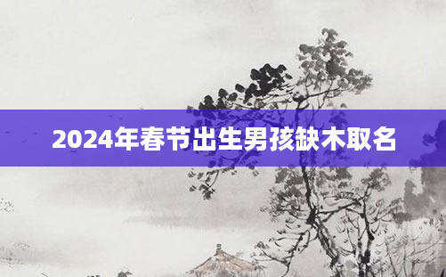 2024年春节出生男孩缺木取名